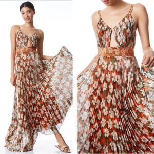 ALICE + OLIVIA Gloria Chain Strap Pleated Metallic Floral Maxi Dress Size 2
